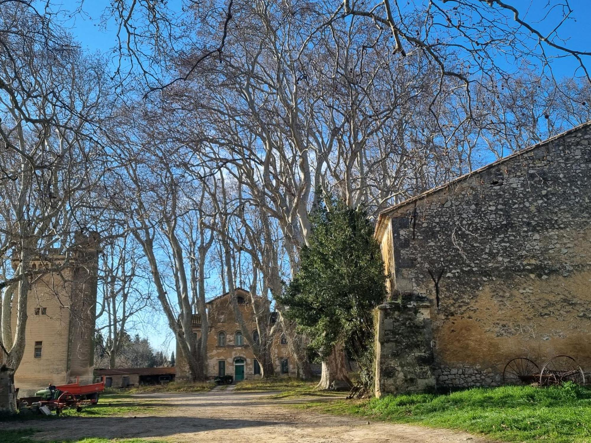 Les Garrigues De La Vallee Des Baux Paradou Bagian luar foto