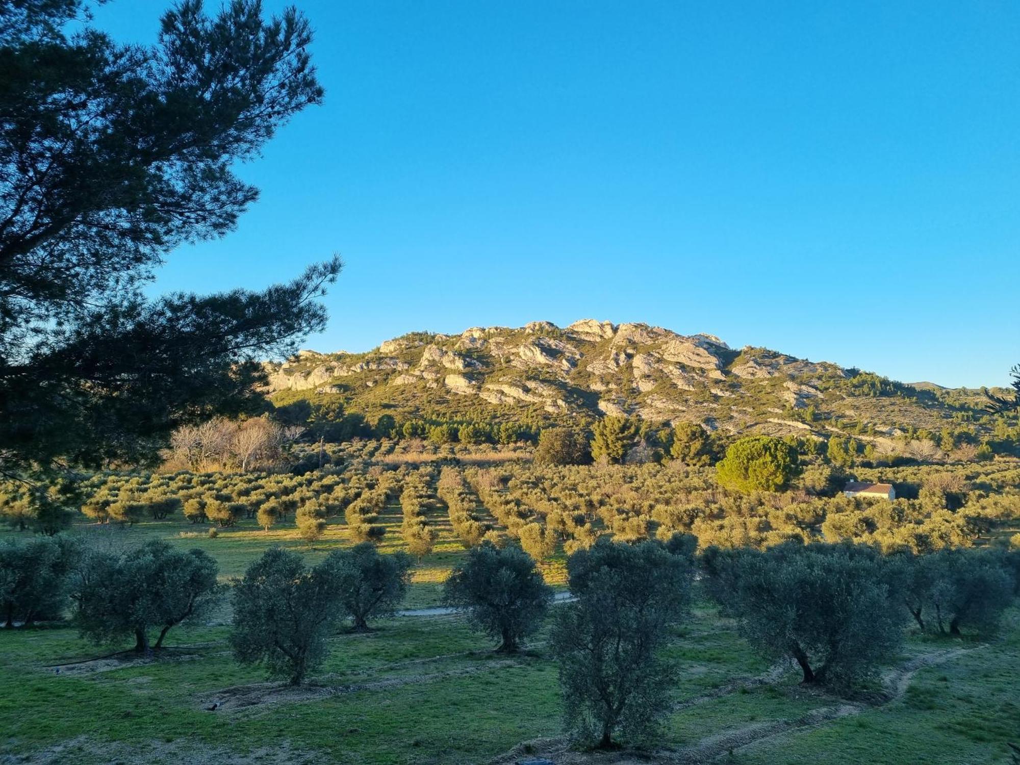 Les Garrigues De La Vallee Des Baux Paradou Bagian luar foto