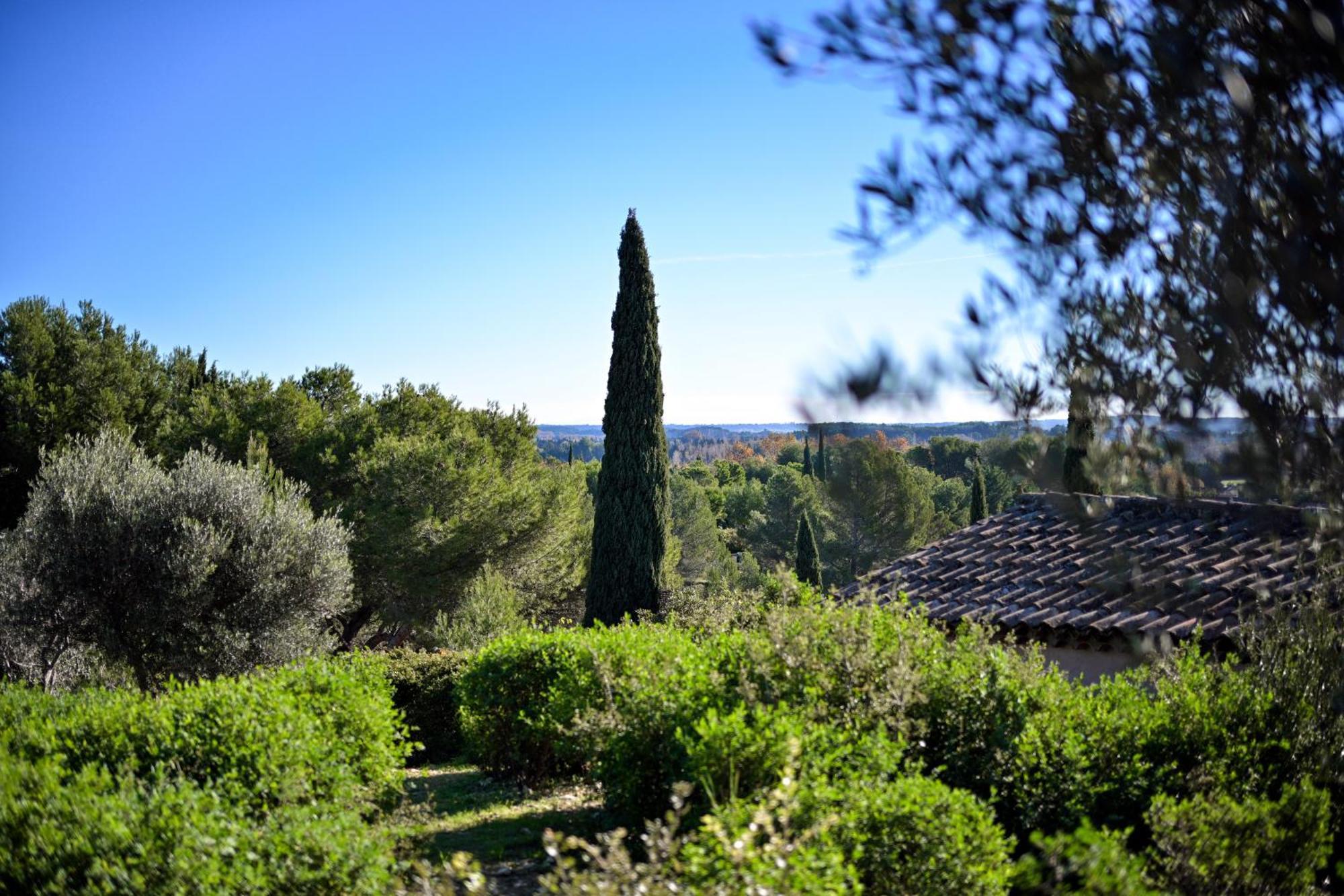 Les Garrigues De La Vallee Des Baux Paradou Bagian luar foto