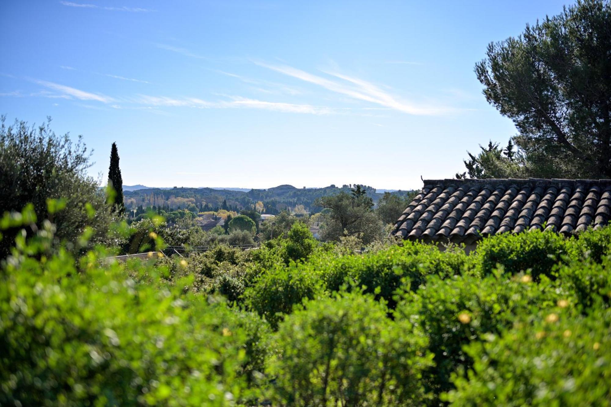 Les Garrigues De La Vallee Des Baux Paradou Bagian luar foto