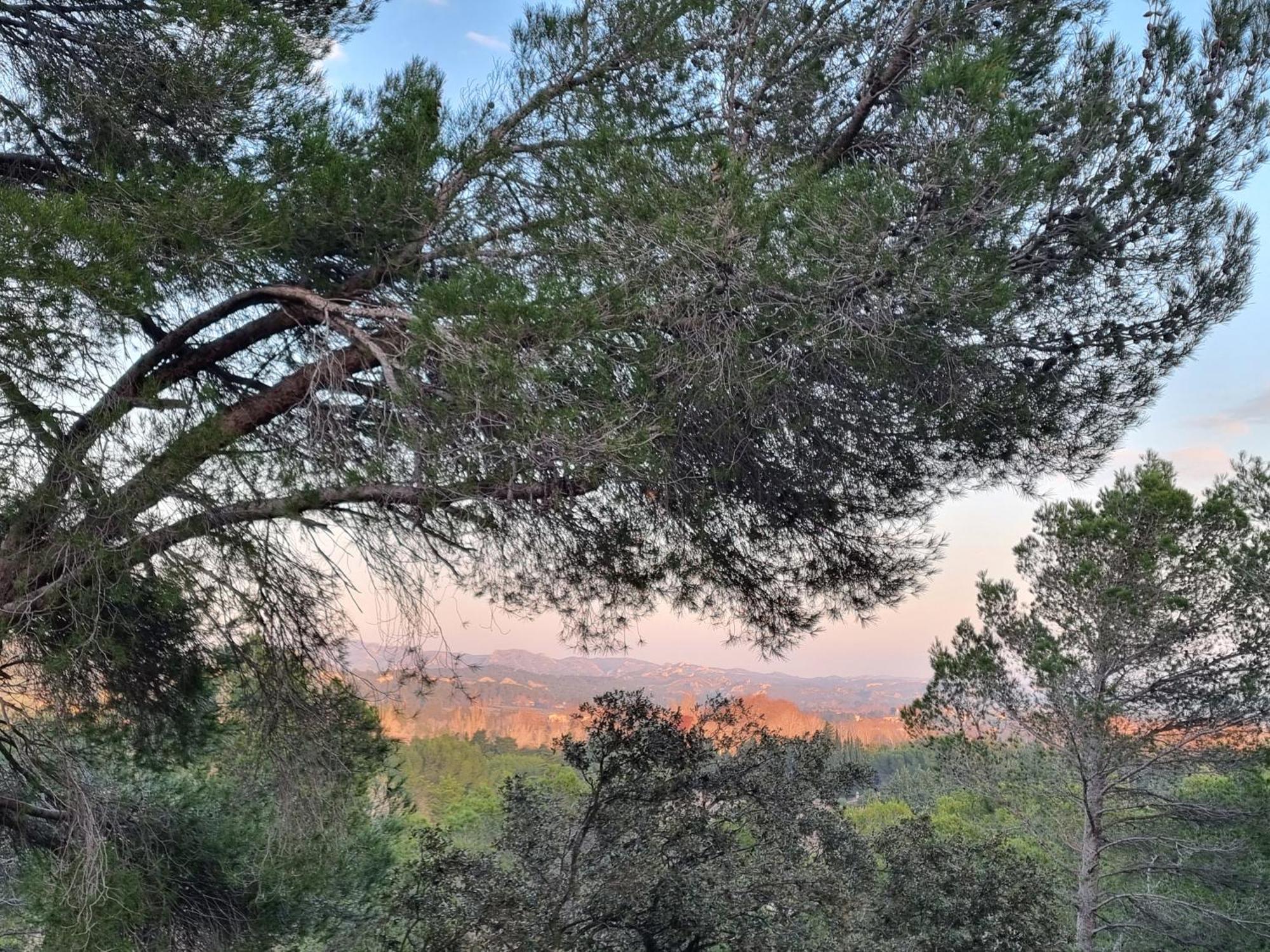 Les Garrigues De La Vallee Des Baux Paradou Bagian luar foto