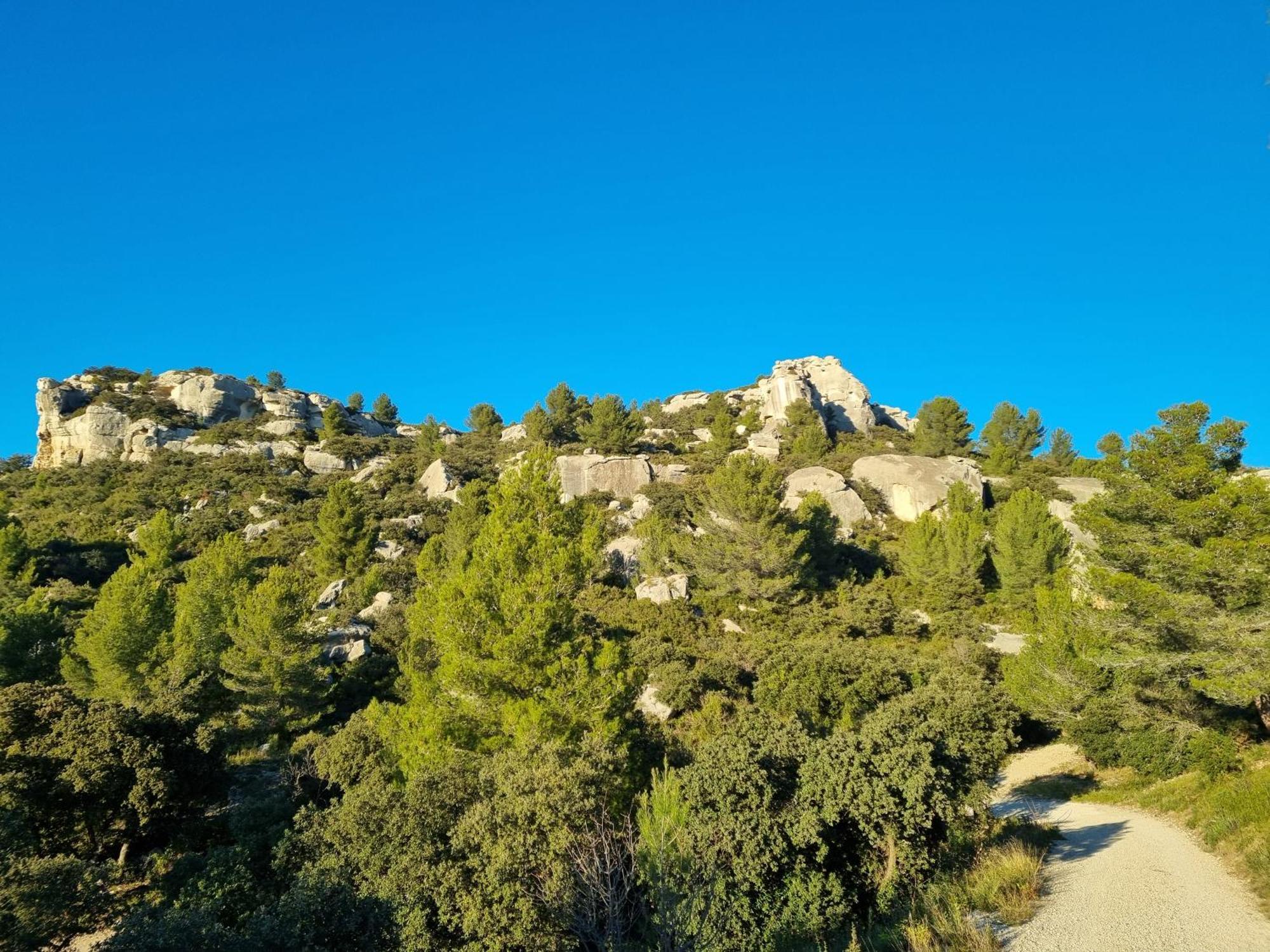 Les Garrigues De La Vallee Des Baux Paradou Bagian luar foto